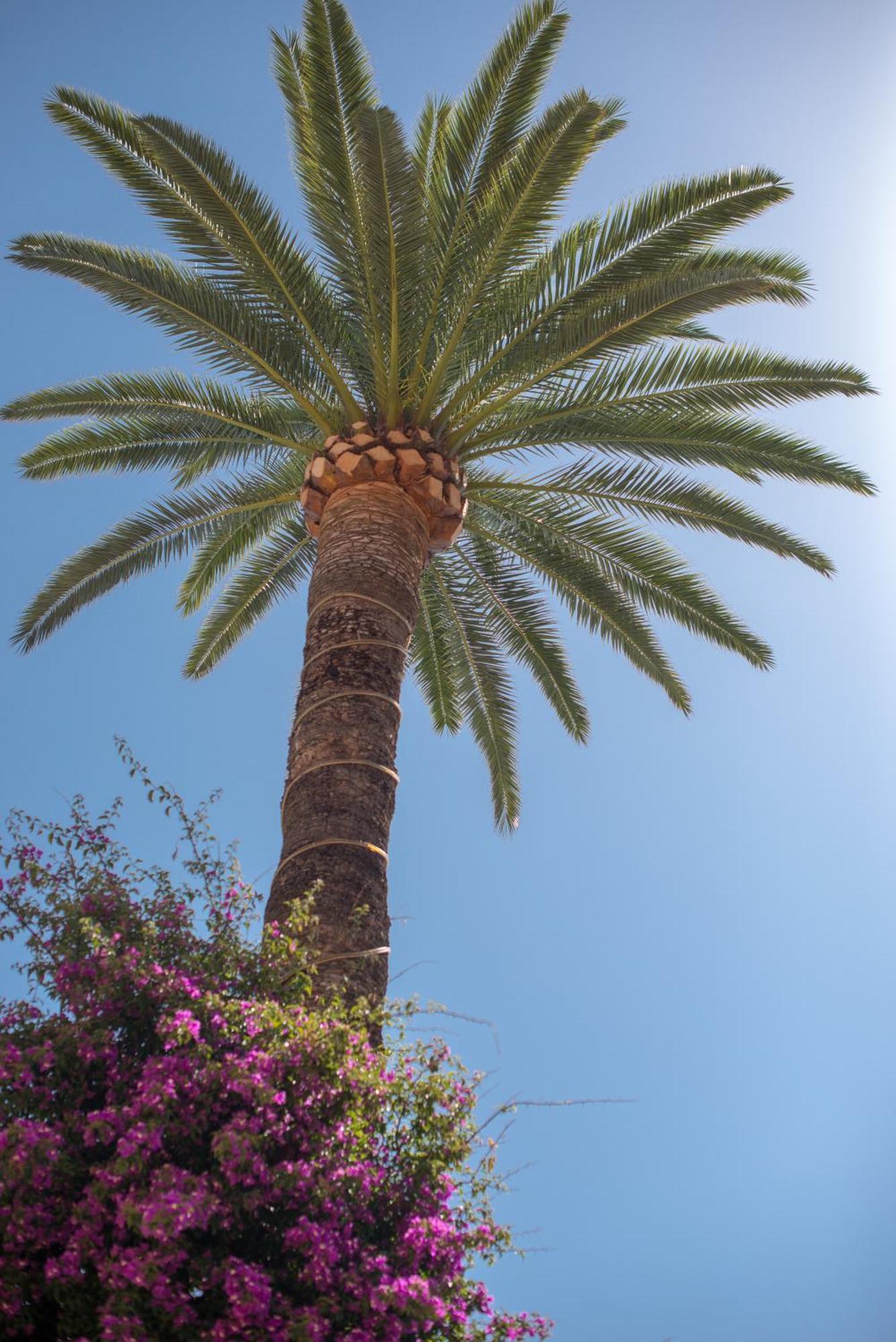Hotel Et Reine D'azur 3*